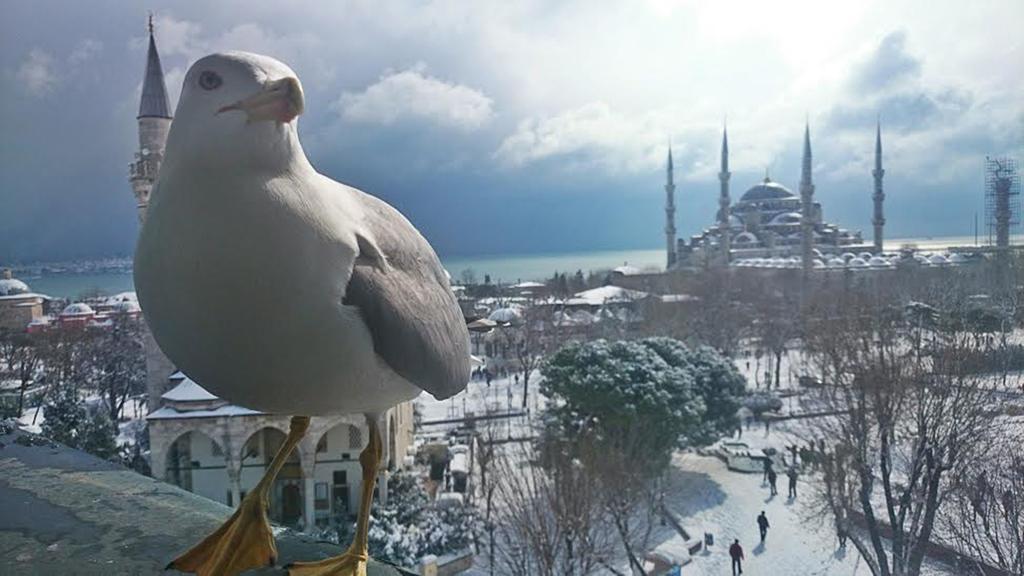 Esra Sultan Petrol Hotel Istambul Quarto foto